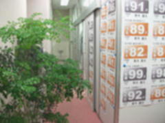 掲示物